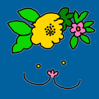 Pasifikaat Women's Design