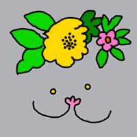 Pasifikaat Women's V-Neck Design